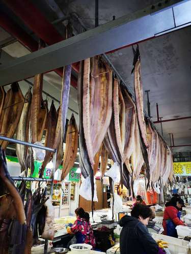 纳米中心-樊丽-北方有鱼-13524247993