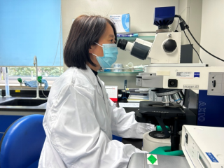 通讯稿 -汇博娱乐
新一批获上海市巾帼先进集体和个人380