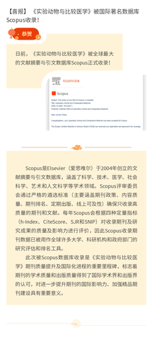 135editor_02131543_67ada29b262d420250213154323